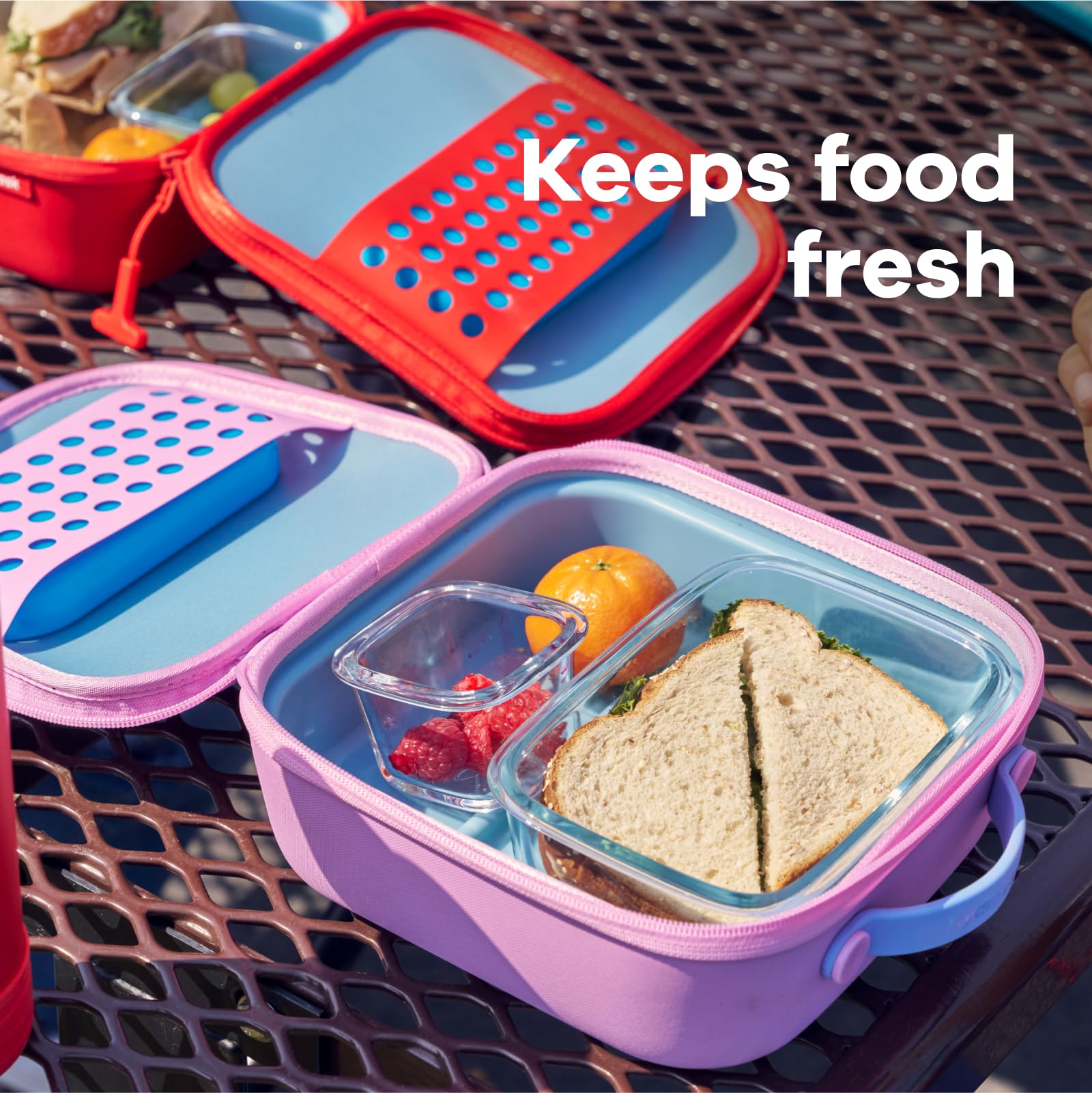 hydro-flask-kleine-isolierte-lunchbox-kinder-anemone image 4