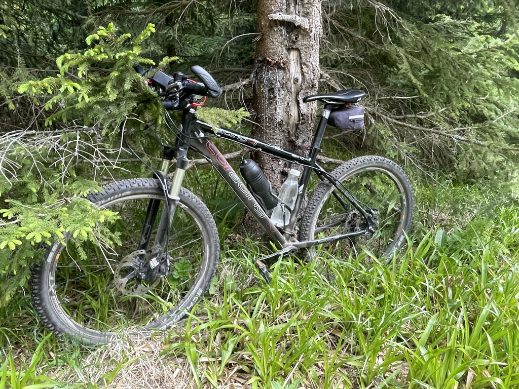 Mein Daily Driver
